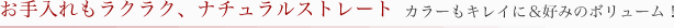 3̃Xebvőn肾nCp[F[
